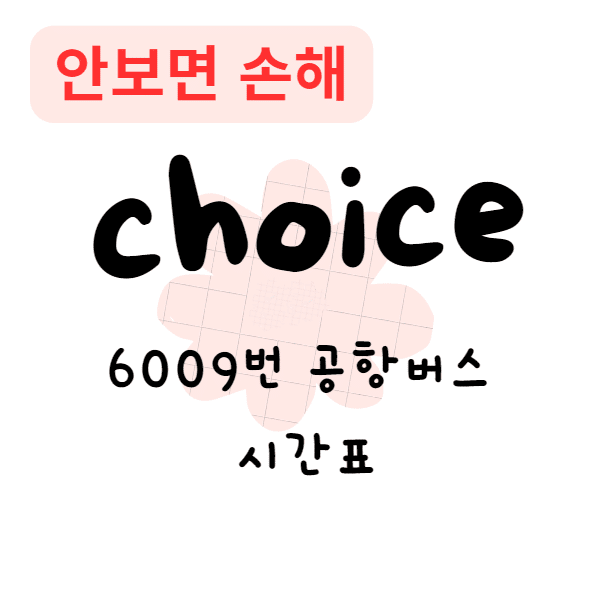 6009번 공항버스 시간표 노선도 타는곳 요금(안보면 손해) 6009번 공항버스 시간표 노선도 타는곳 요금(안보면 손해)