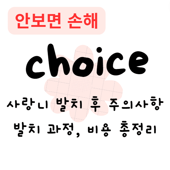 사랑니 발치 후 주의사항과 발치 과정, 비용 총정리 사랑니 발치 후 주의사항과 발치 과정, 비용 총정리