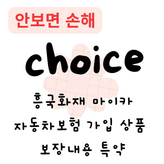흥국화재 마이카 자동차보험 가입 상품 보장내용 특약(안보면 손해) 흥국화재 마이카 자동차보험 가입 상품 보장내용 특약(안보면 손해)