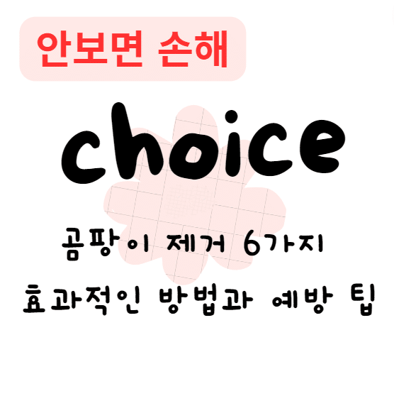 곰팡이 제거 6가지 효과적인 방법과 예방 팁(안보면 손해) 곰팡이 제거 6가지 효과적인 방법과 예방 팁(안보면 손해)