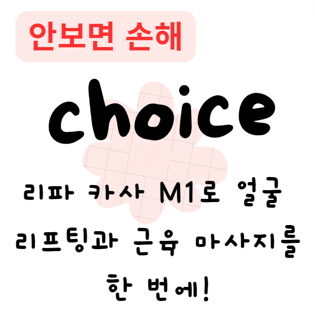 리파 카사 M1로 얼굴 리프팅과 근육 마사지를 한 번에! 효과 후기 사용법 리파 카사 M1로 얼굴 리프팅과 근육 마사지를 한 번에! 효과 후기 사용법
