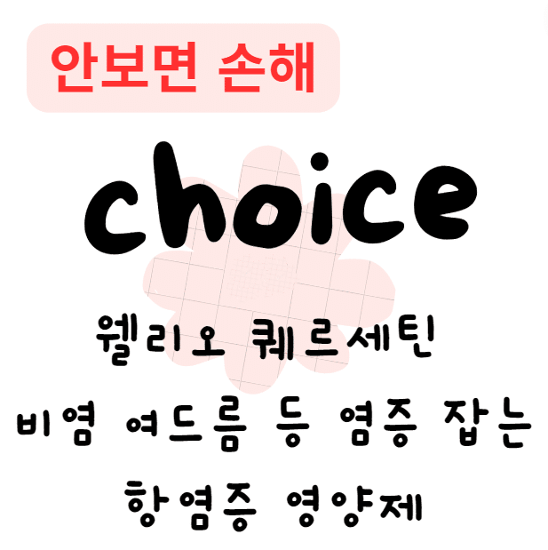 웰리오 퀘르세틴 비염, 여드름 등 염증 잡는 항염증 영양제 후기 효과 부작용