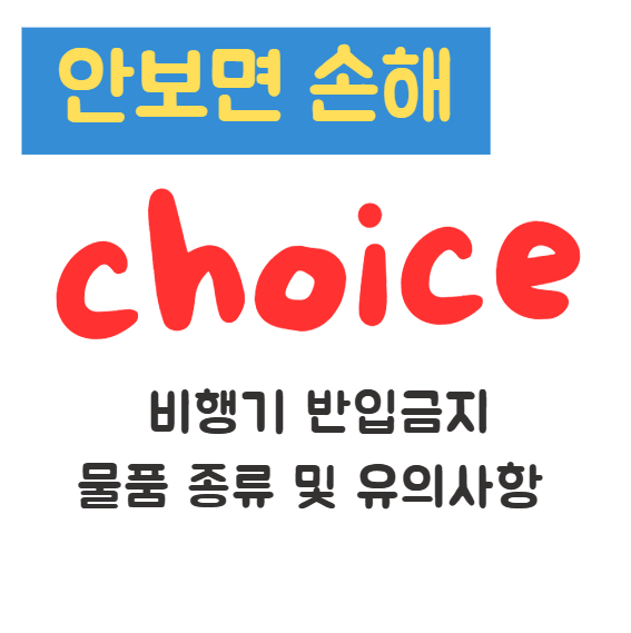 비행기 반입금지 물품 종류 및 유의사항 안전한 항공 여행을 위한 필수 정보 1 비행기 반입금지