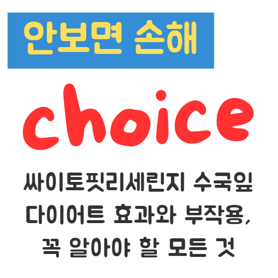 싸이토핏리세린지 수국잎 다이어트 효과와 부작용, 꼭 알아야 할 모든 것