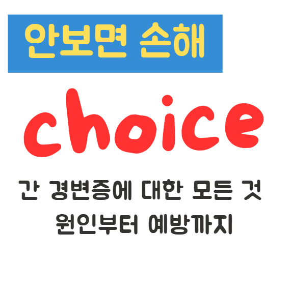 간 경변증에 대한 모든 것 원인부터 예방까지