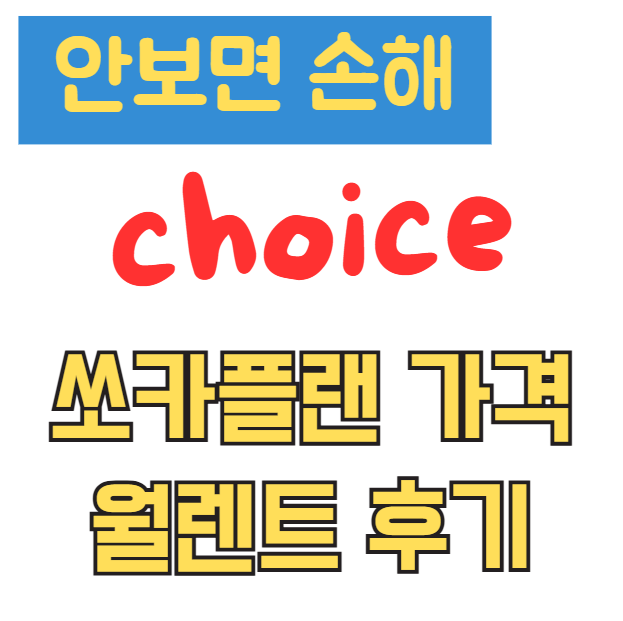 쏘카플랜 가격 월렌트 후기 번호판 완벽정리